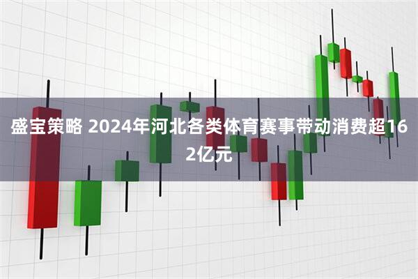 盛宝策略 2024年河北各类体育赛事带动消费超162亿元
