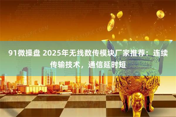 91微操盘 2025年无线数传模块厂家推荐：连续传输技术，通信延时短